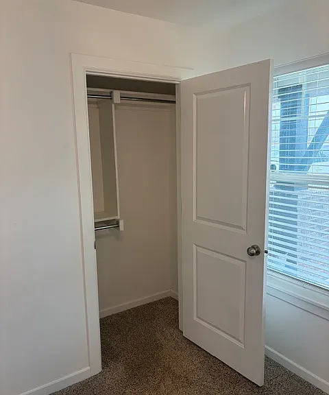 604 Caladium Dr — Photo 27
