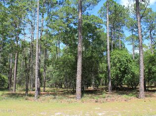 2922 Ladauphine Ln SE, Bolivia, NC 28422