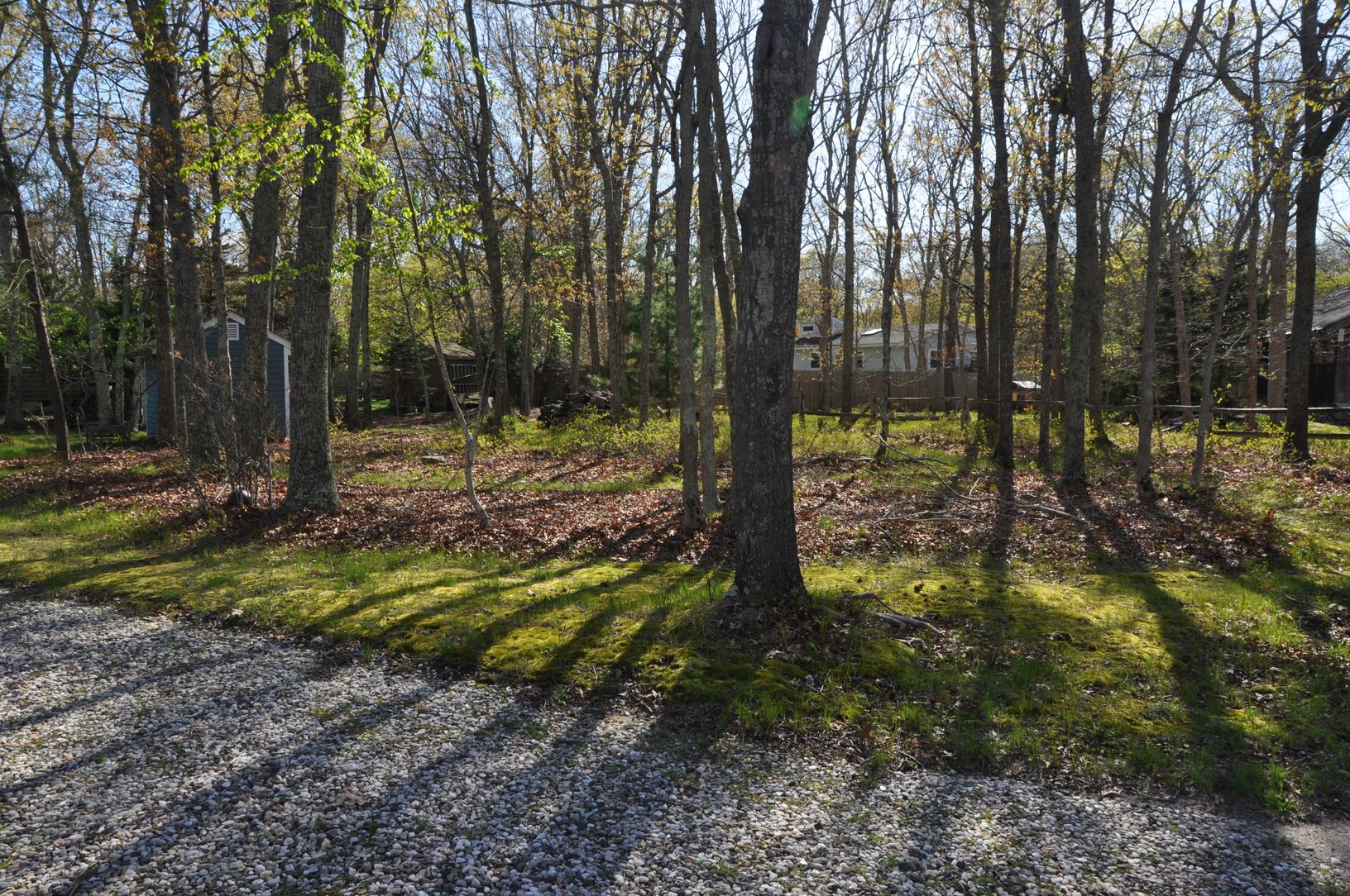  side yard 