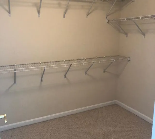 405 Dueling Way — Photo 9