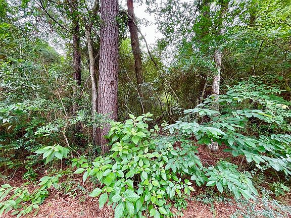 3rd image of 30803 Green Forest Dr Lot 98