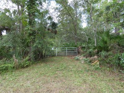 1275 Davidson Dr, Pierson, FL, 32180