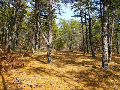 44 Sea Pine Road, Wellfleet, MA, 02667