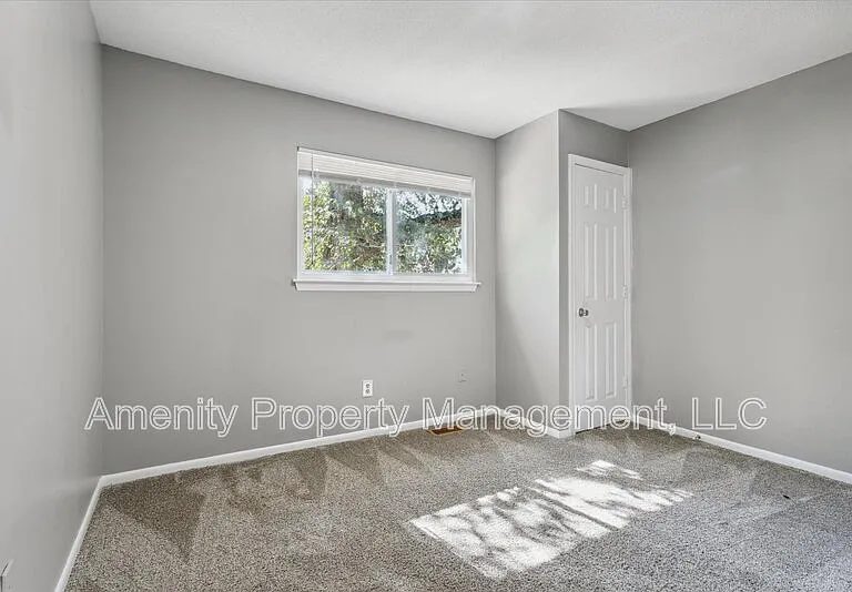 717 Ninebark Ct — Photo 19