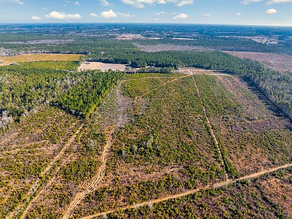 4th image of 100 Acres Fifteen Mile Bay Rd.