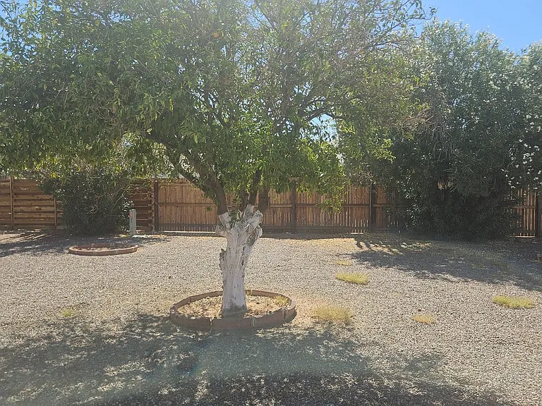 9845 N 105th Dr — Photo 13
