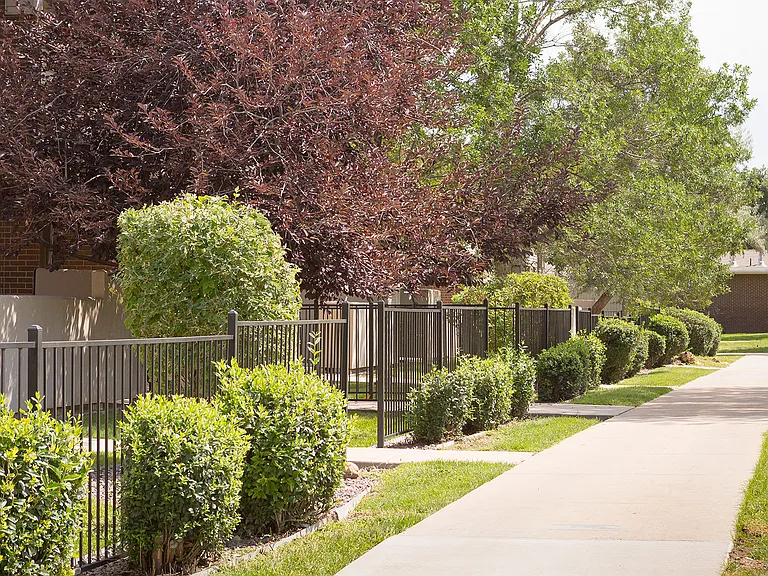 Pet-friendly paths throughout our community