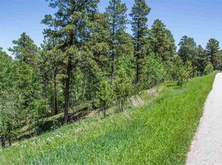 1 Hearst Ave #A, Lead, SD 57754