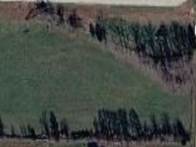 000 Hickory Nut Lane, Strafford, MO, 65757