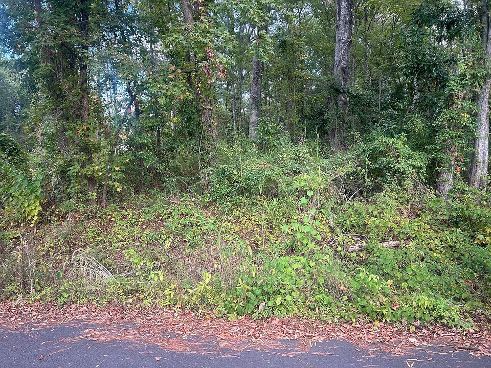 2nd image of 8 Carver Ave