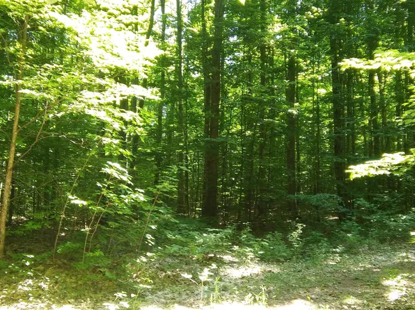 228 N Donnybrook, Frederic, MI 49733