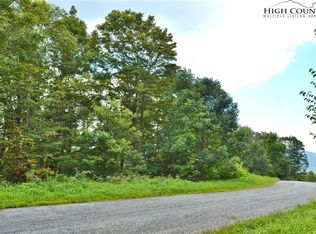 TBD Holiday Lane, Whitetop, VA 24292