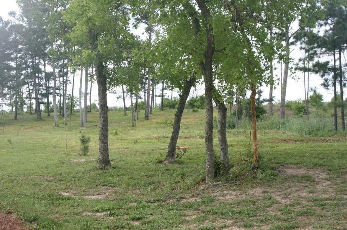 Studio, 500 sqft, $850 — Photo 3