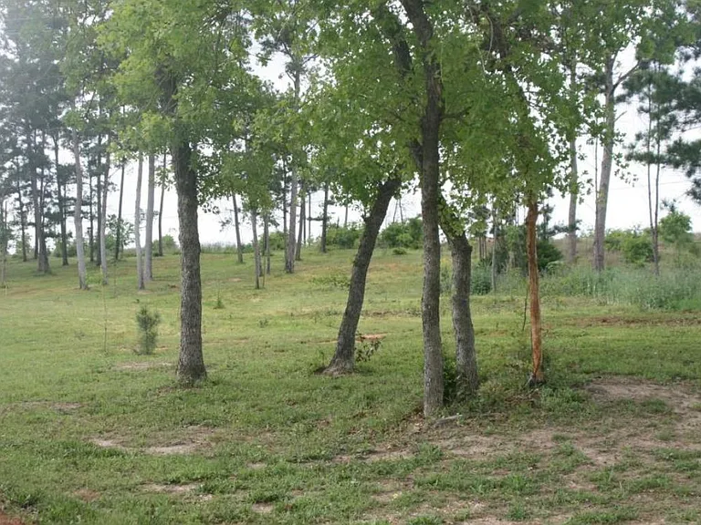 120 Pine Hill Loop #1-RV — Photo 3