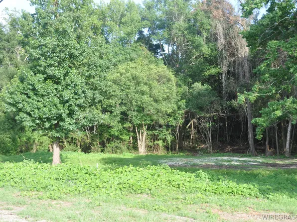 110 Stroud Ave, Elba, AL 36323