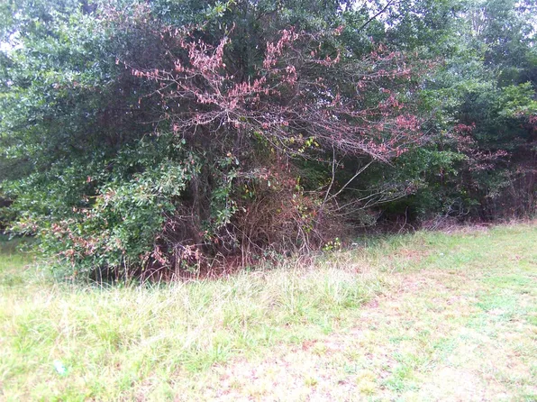 0 Falls St, Lawndale, NC 28090