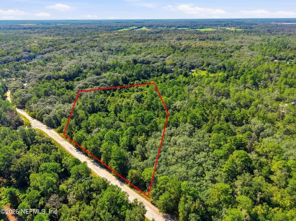 00 NETTLES Road, Florahome, FL 32140