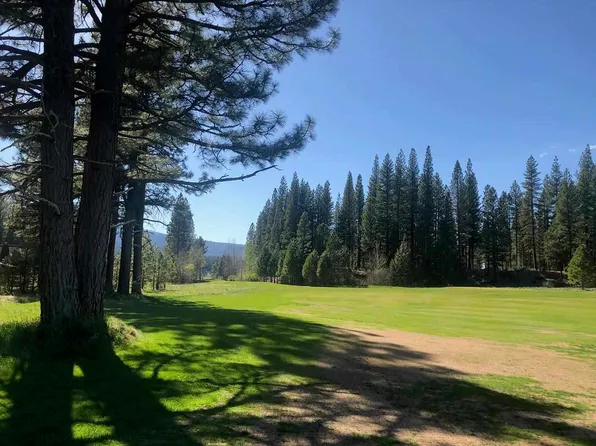 597 Miners Psge, Clio, CA 96106