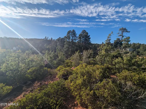 922 OLD SETTLER Trail #390, Show Low, AZ 85901