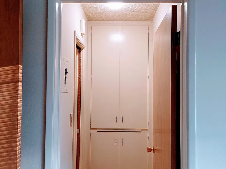 Large storage cabinet