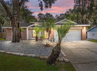 1613 Long Pond Dr, Valrico, FL 33594