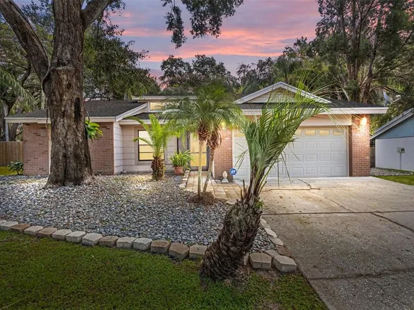 1613 Long Pond Dr, Valrico, FL 33594