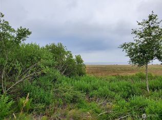 642 Duck Lake Dr NE, Ocean Shores, WA