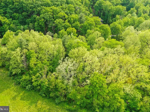 Thompson Mill Rd, Front Royal, VA 22630