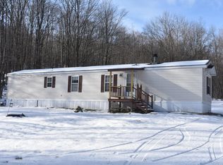 981 Dublin Rd, Ludlow, VT 05149