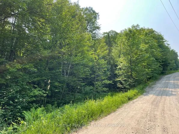 0 Coleman Lake Rd, Dysart Et Al, ON K0M 1S0