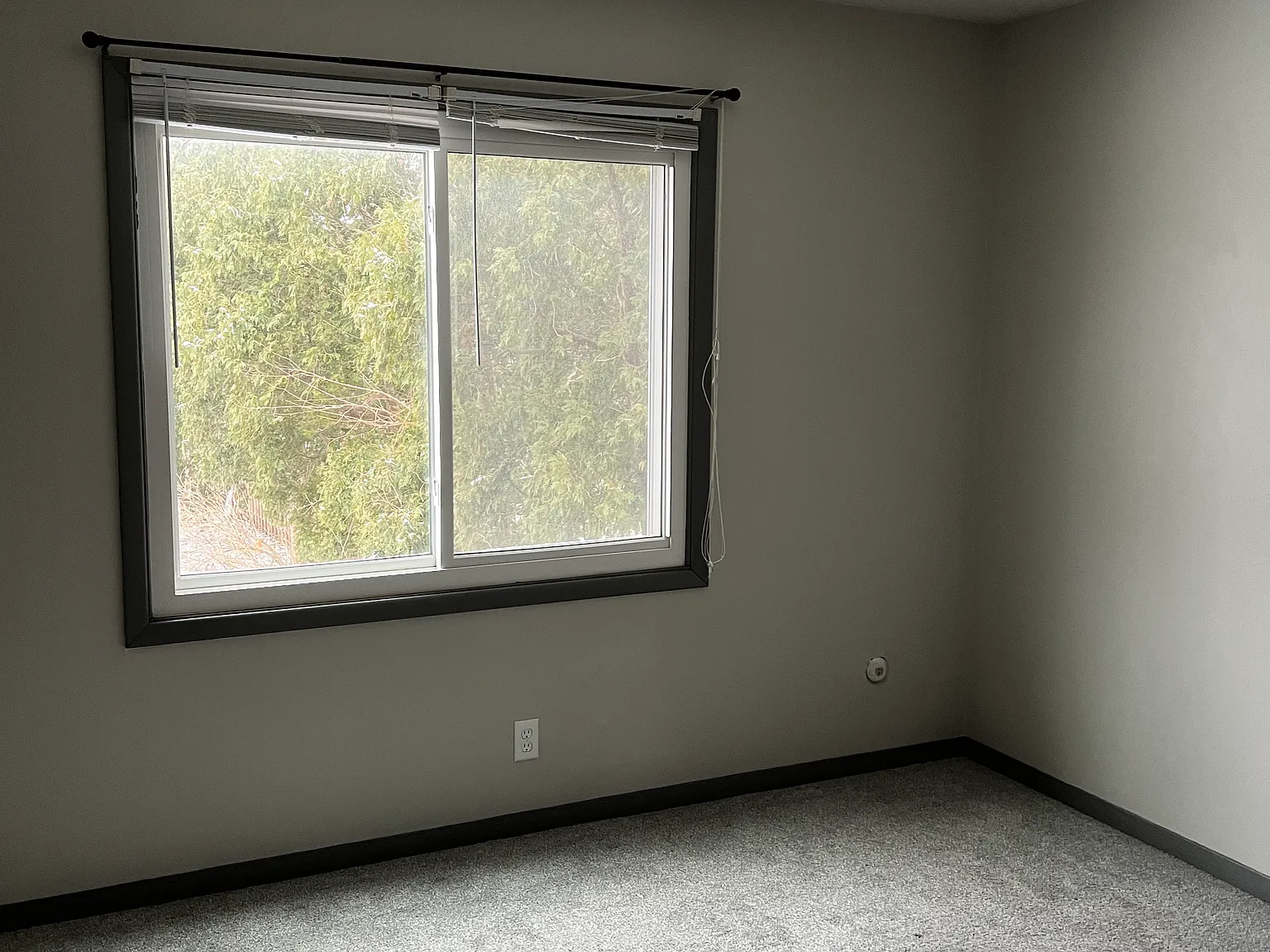 2 bed, 987 sqft, $1,050 — Photo 3