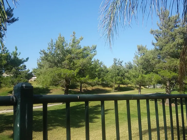 33405 Wallace Way — Photo 16
