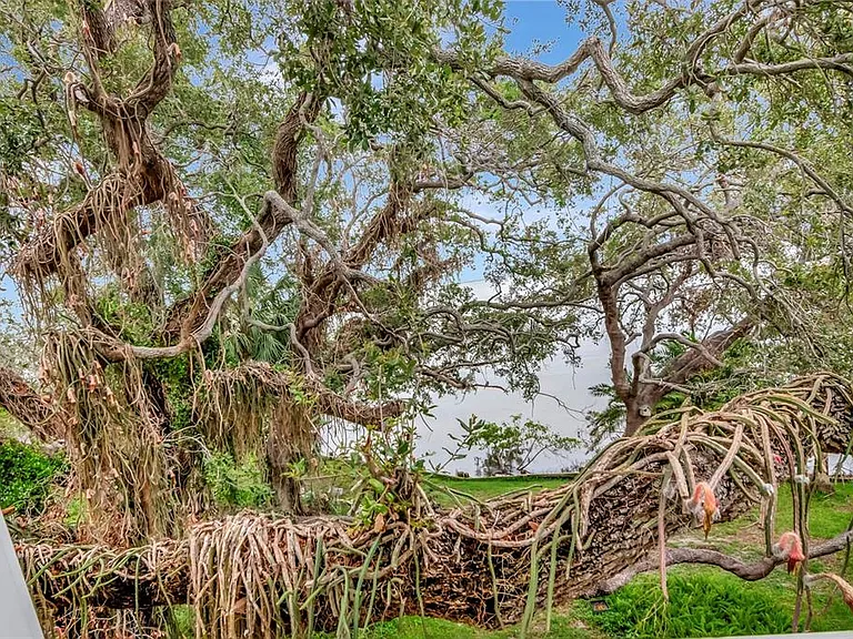 6220 Bayshore Blvd — Photo 35