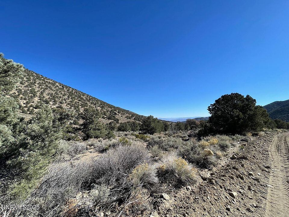 2nd image of Lucky Boy Rd