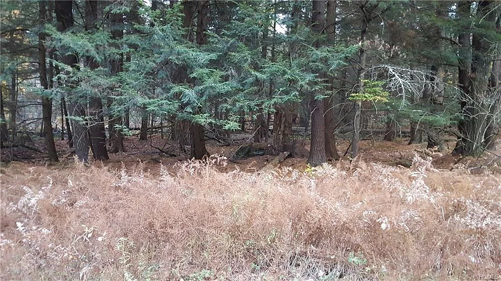 Wildcat Rd photo 1