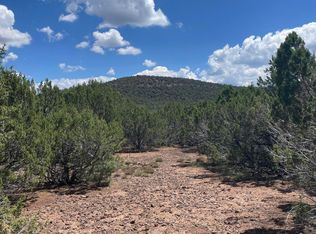 34 County Road 3323, Vernon, AZ 85940