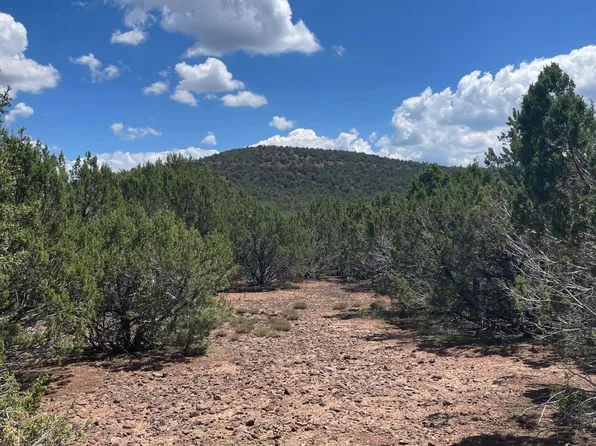 34 County Road 3323, Vernon, AZ 85940