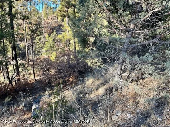 L15-16 Miles Loop, Timberon, NM 88350