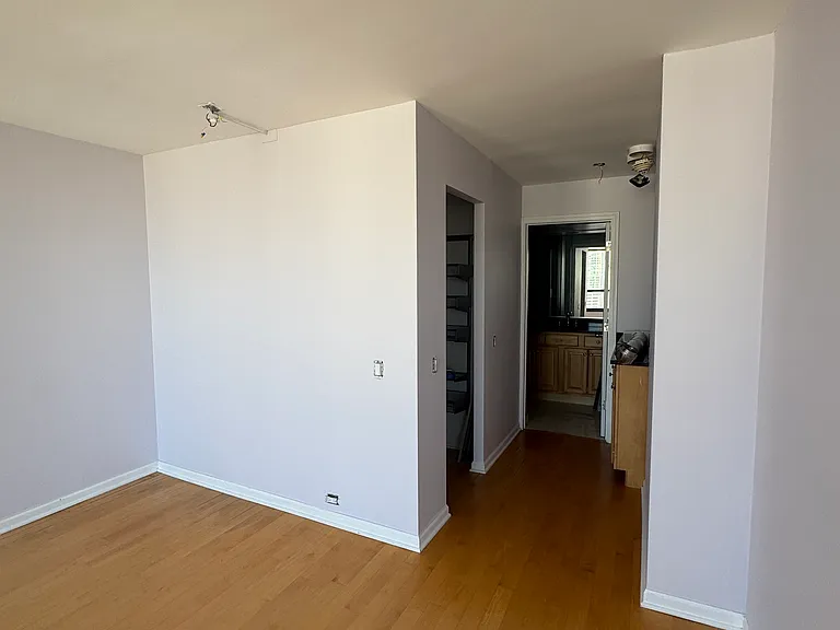 405 N Wabash Ave #4711 — Photo 12