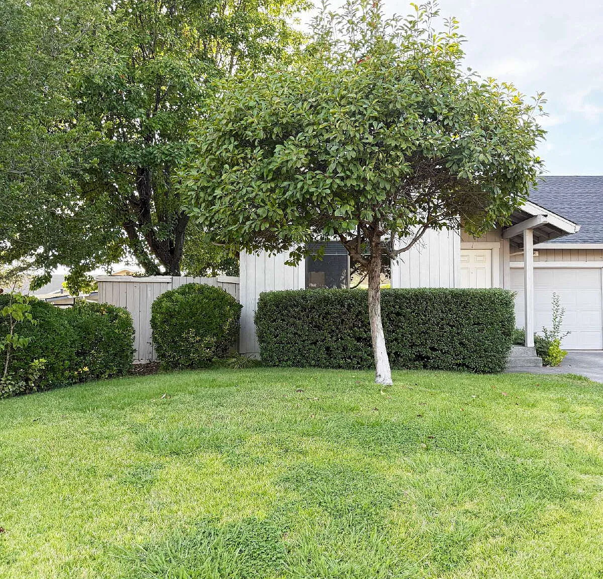 2 bed, 1.0 bath, $2,600 — Photo 1