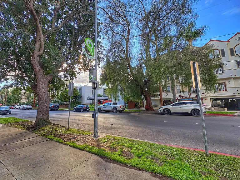 Willis Park North — Photo 35