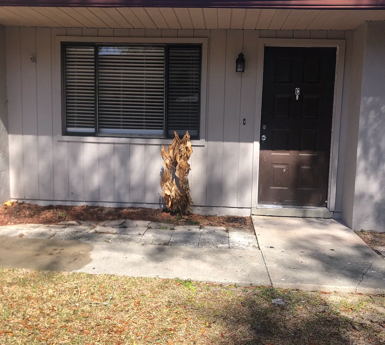 2 bed, 800 sqft, $1,200 — Photo 1