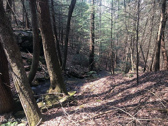 4th image of 60 Jim Garrett Rd