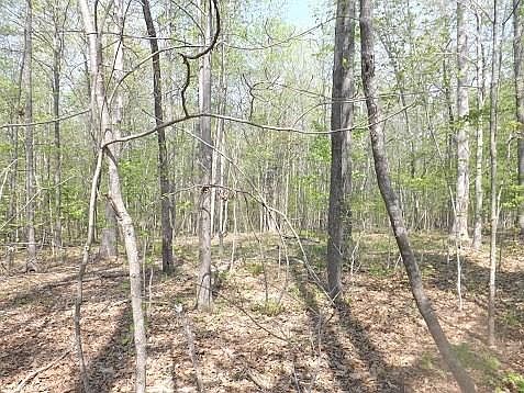 1st image of 7095 Porter Dr