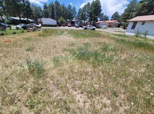 47 Canyon Cir, Pagosa Springs, CO 81147