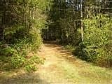 Entrance Drive