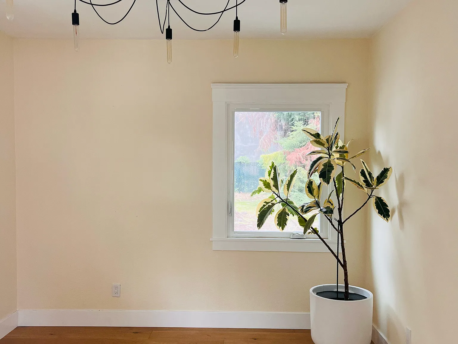 Warwick Ave, San Leandro — Photo 2