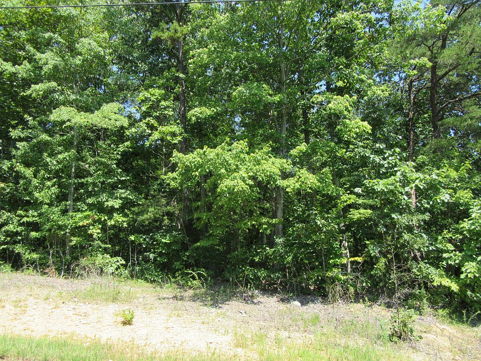 1st image of Oslo Ln