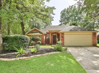3 Cirrus Ct, Spring, TX 77380