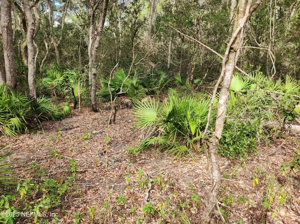 123 CHICKASAW Place, Satsuma, FL 32189